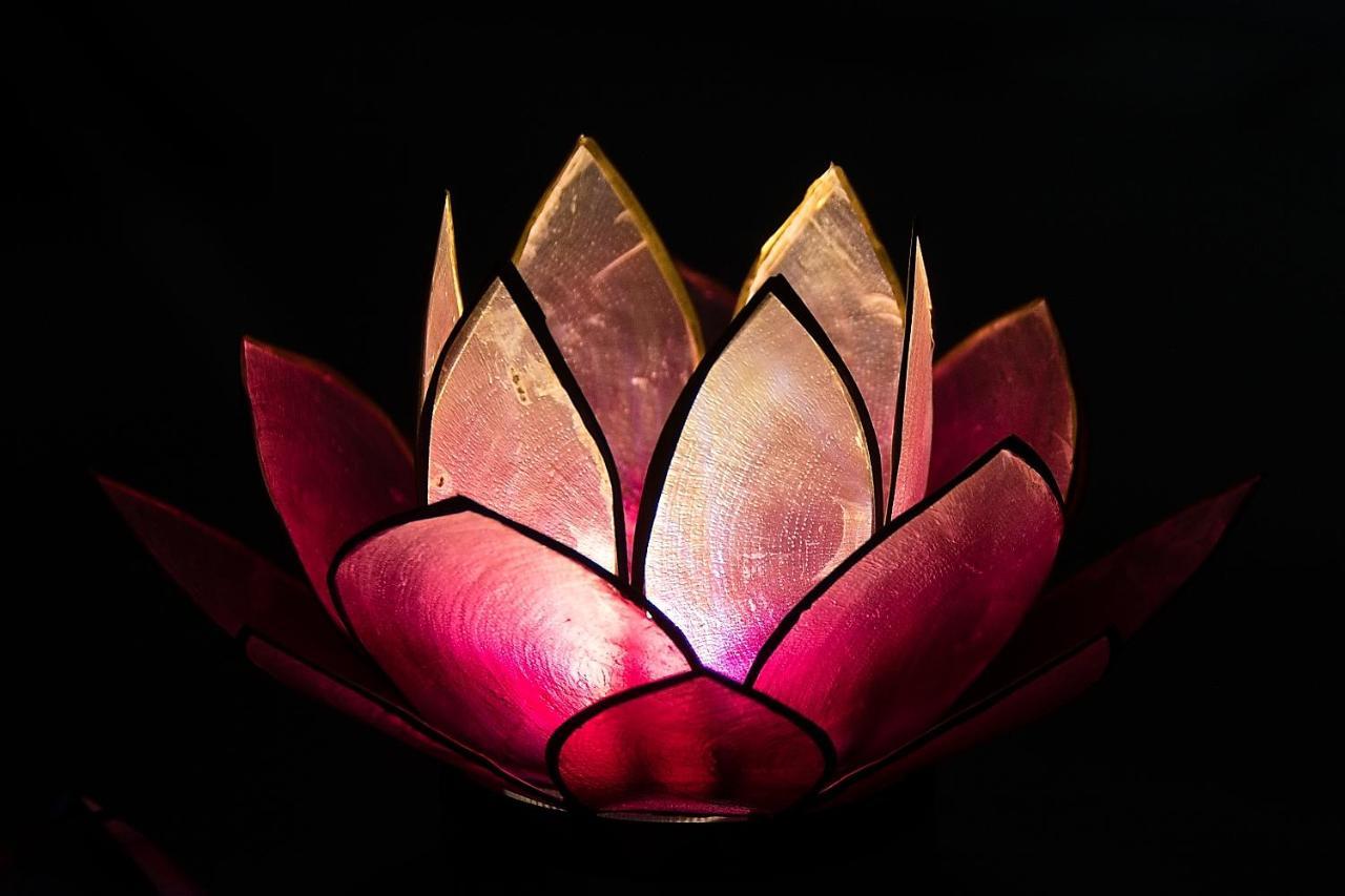 Pink Lotus Apartment 维也纳 外观 照片